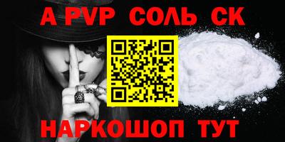 СК Новодвинск