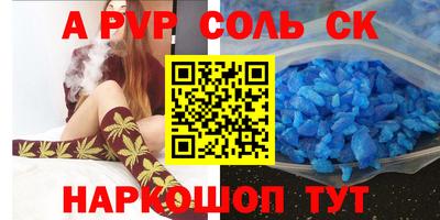 СК Новодвинск