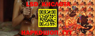 СК Новодвинск