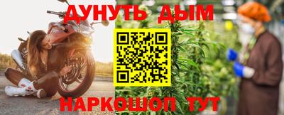 СК Новодвинск