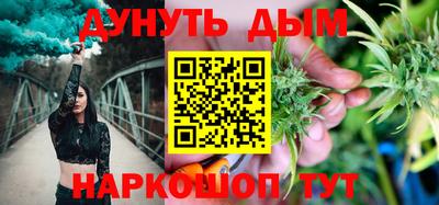 СК Новодвинск