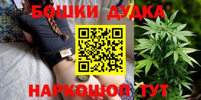 СК Новодвинск