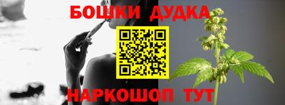 СК Новодвинск