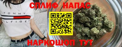 СК Новодвинск