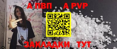 СК Новодвинск