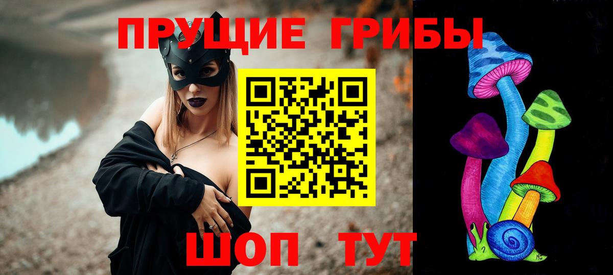 Амурск  Галлюциногенные грибы прущие грибы  Вход с VPN 